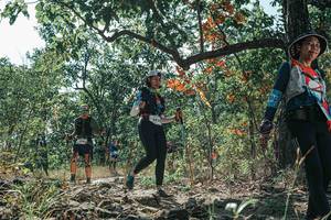 BIB: 
                            <button type="button" onclick="openModal(26114470)" class="btn btn-primary btn-sm float-right btn-popup" data-toggle="modal" data-target=".modal-high-quality">
                        <i class="fas fa-shopping-cart"></i> Add to Cart
                    </button>
                                            <button type="button" onclick="isThisMe(26114470, true)" class="btn btn-success btn-sm float-right btn-popup btn-isme hidden" data-toggle="tooltip" data-placement="bottom" title="นี่คือรูปของคุณใช่ไหม คลิกที่นี่เพื่อเอาเข้าอัลบั้ม">
                        <i class="fas fa-plus"></i> Add to album
                    </button>
                    <button type="button" onclick="isThisMe(26114470, false)" class="btn btn-warning btn-sm float-right btn-popup btn-isnotme hidden">
                        <i class="fas fa-ban"></i> Remove from album
                    </button>